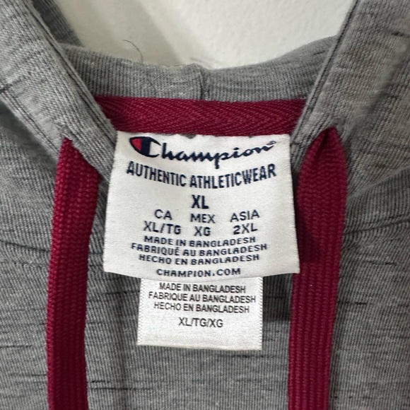 Champion South Carolina Gamecock hoodie. - Picture 3 of 3